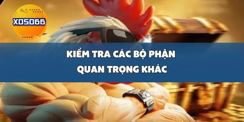 Kiểm Tra Các Bộ Phận Quan Trọng Khác