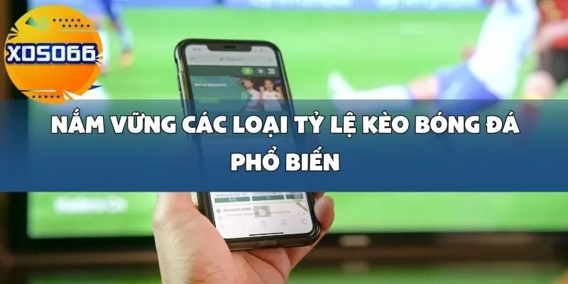 Hướng Dẫn Phân Tích Tỷ Lệ Kèo Bóng Đá Tại Xoso66 Để Cá Cược Chính Xác