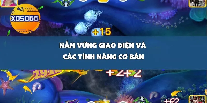 Nắm Vững Giao Diện và Các Tính Năng Cơ Bản